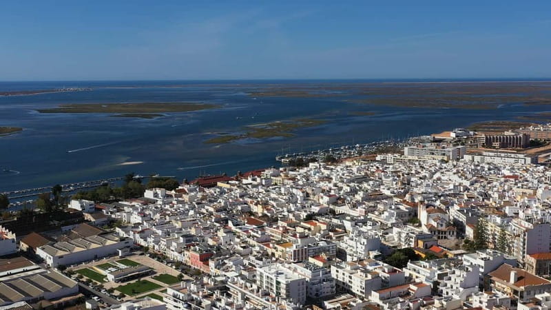 Ria Formosa: Armona and Culatra Islands 3-Hour Boat Tour - Culatra Island and its car-free way of life