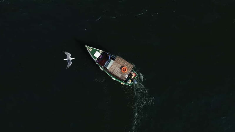 Ria Formosa: Armona and Culatra Islands 3-Hour Boat Tour - The captains make the difference