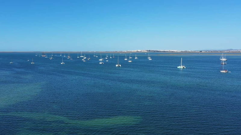 Ria Formosa: Armona and Culatra Islands 3-Hour Boat Tour - A realistic look at the three-hour schedule