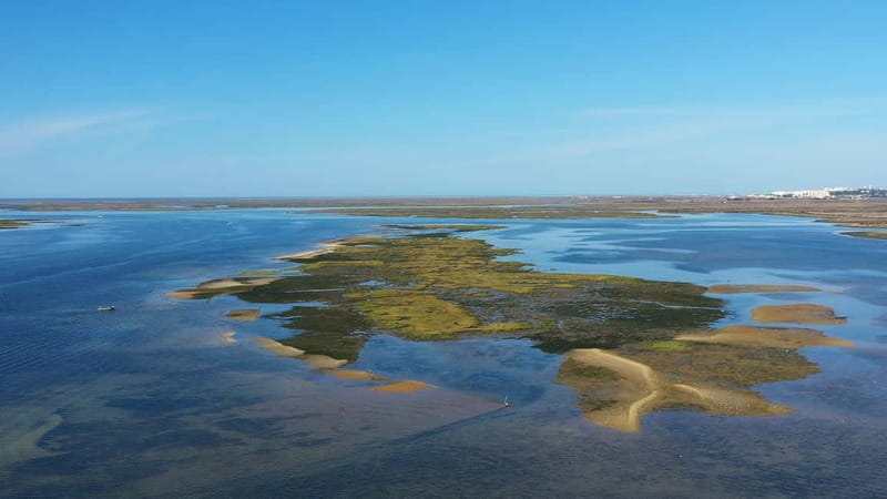 Ria Formosa: Armona and Culatra Islands 3-Hour Boat Tour - Armona Island for a slower hour
