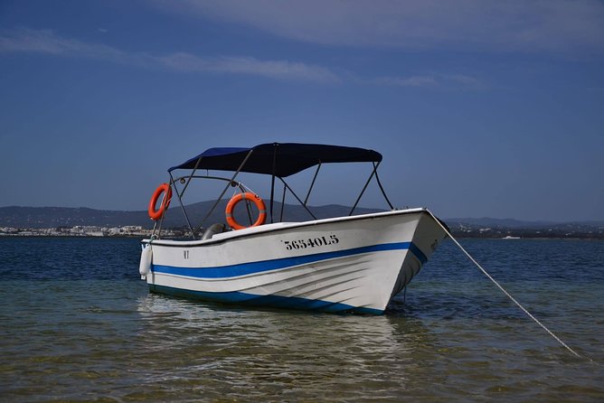 Ria Formosa - Boat trip to the 3 Islands: Armona | Culatra Island | Lighthouse - The Third Stop: Armona or Praia Deserta