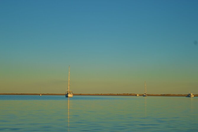 Ria Formosa & Ilhas: Sunset Boat Trip - A captain who makes the trip more enjoyable