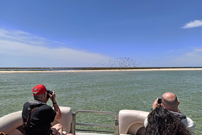 Ria Formosa Natural Park and Islands Boat Cruise from Faro - Leaving Faro Marina for the Ria Formosa