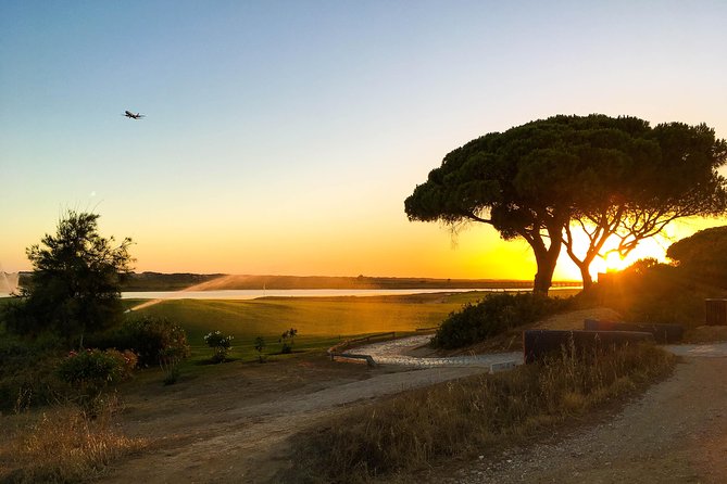 Ria Formosa Natural Park Birdwatching Segway Tour from Faro - Ludo, salt flats, and the best bird search