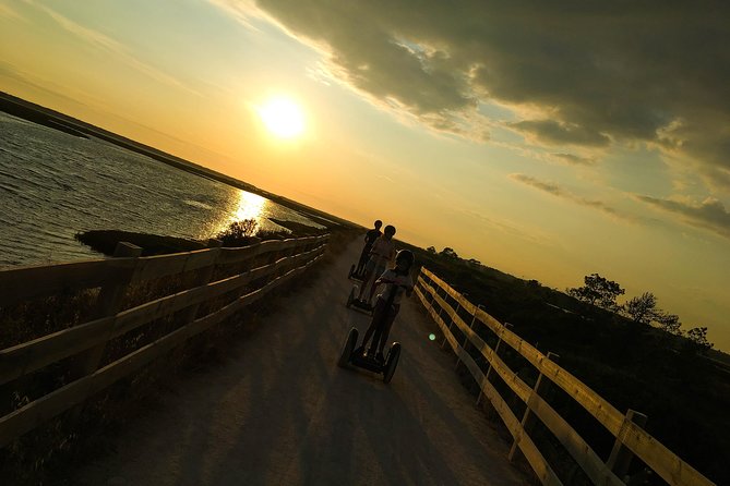 Ria Formosa Natural Park Birdwatching Segway Tour from Faro - The Quinta do Lago contrast