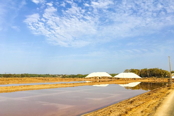 Ria Formosa Natural Park Birdwatching Segway Tour from Faro - What the $70.17 price gives you