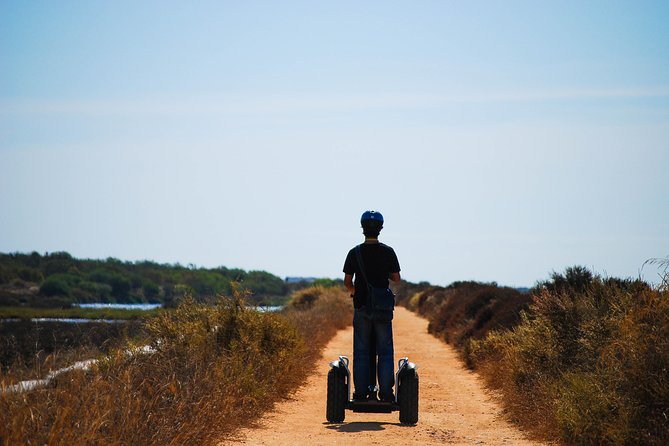 Ria Formosa Natural Park Birdwatching Segway Tour from Faro - What the experience does well, and where it falls short
