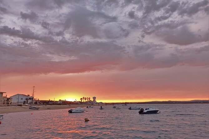 Ria Formosa Sunset 1 hour Boat Trip in Faro - What you see inside Ria Formosa Natural Park