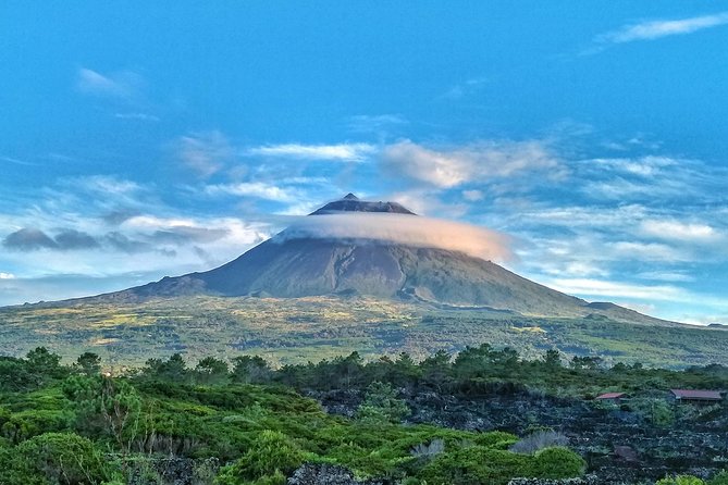 Route DA Pico Island - Prainha forest: a walk among island trees