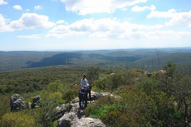 Safari & Boat Tour - Mountains & Dolphins - Springs, peaks, and farm tastings