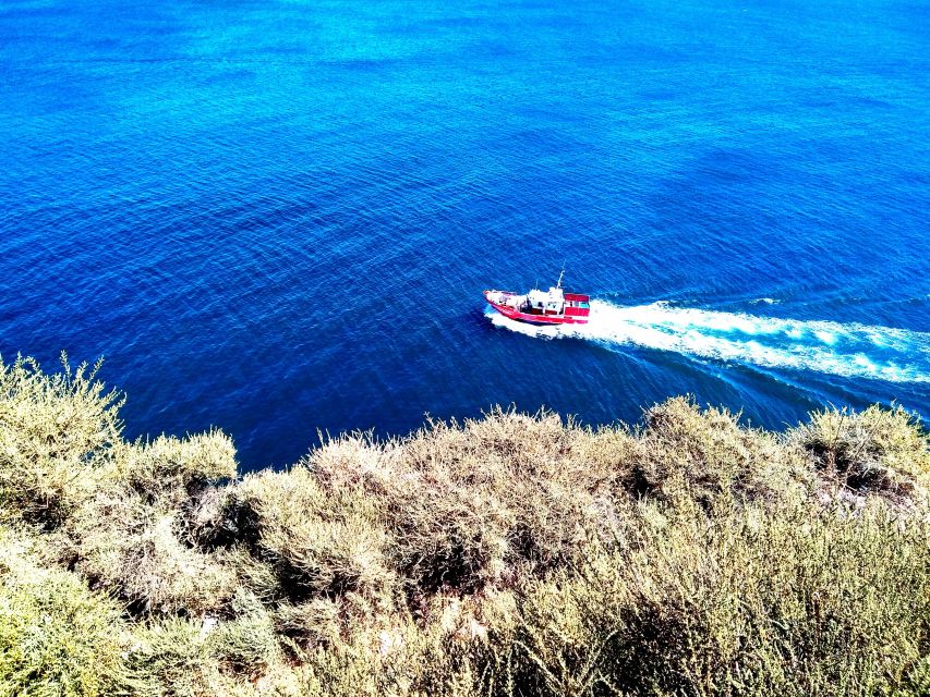Sagres & Cape St. Vincent Half-Day Tour from Lagos - Practical details before you book
