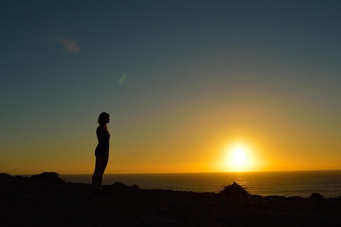Sagres Sunset Small Group Tour from Lagos - Port, Pastel de Nata, and Other Inclusions