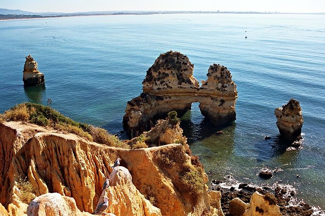 Sail, Swim & Tapas - Dolphins and other surprises