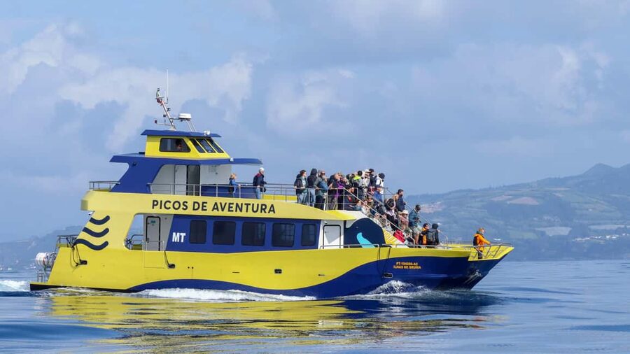 São Miguel Azores: Half-Day Whale Watching Trip - Meeting the crew and getting ready at the marina