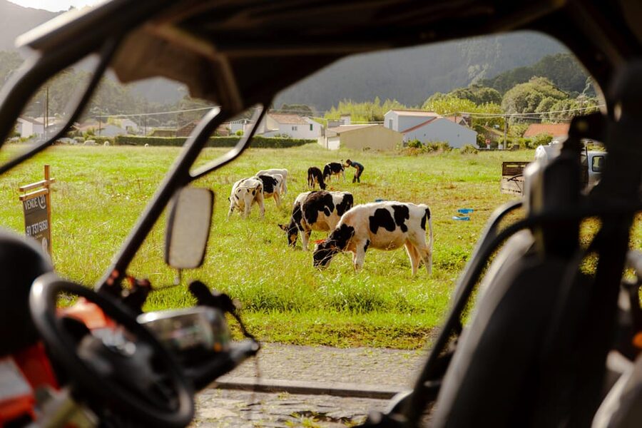 Sao Miguel: Buggy Tour Around Sete Cidades Volcano - Safety, pace, and how much off-road driving to expect