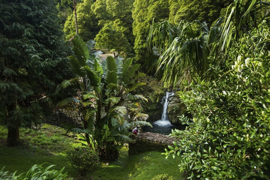 São Miguel East: Full-Day Van Tour with Lunch - Hot springs or Furnas town, your choice after lunch