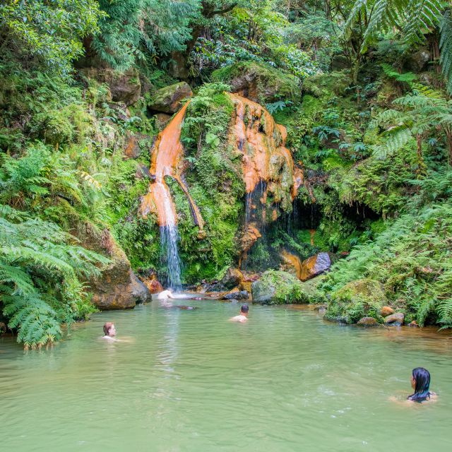 São Miguel: Full-Day Tour to Sete Cidades and Lagoa do Fogo - Greenhouses and pineapple liquor near Ponta Delgada