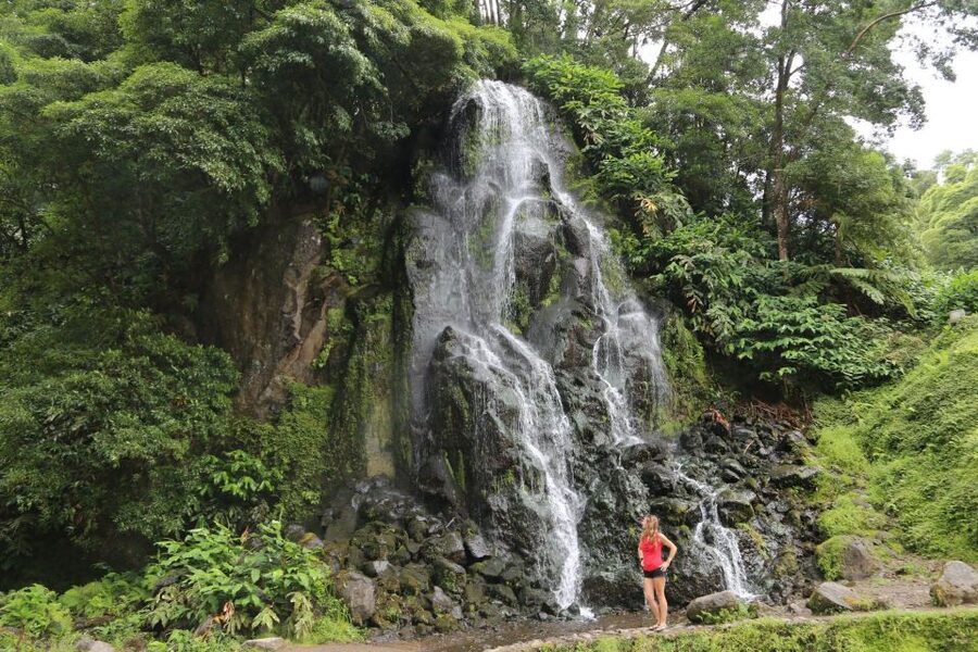 São Miguel: Furnas and Nordeste Full-Day Tour with Lunch - Tea at Gorreana or Porto Formoso
