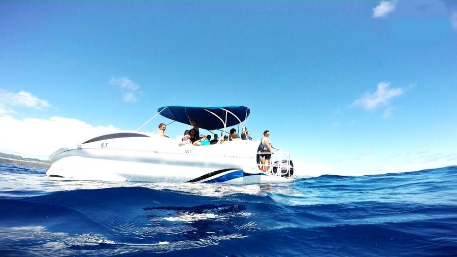 São Miguel: Glass Bottom Boat Tour with Snorkeling - Key points to know before you book
