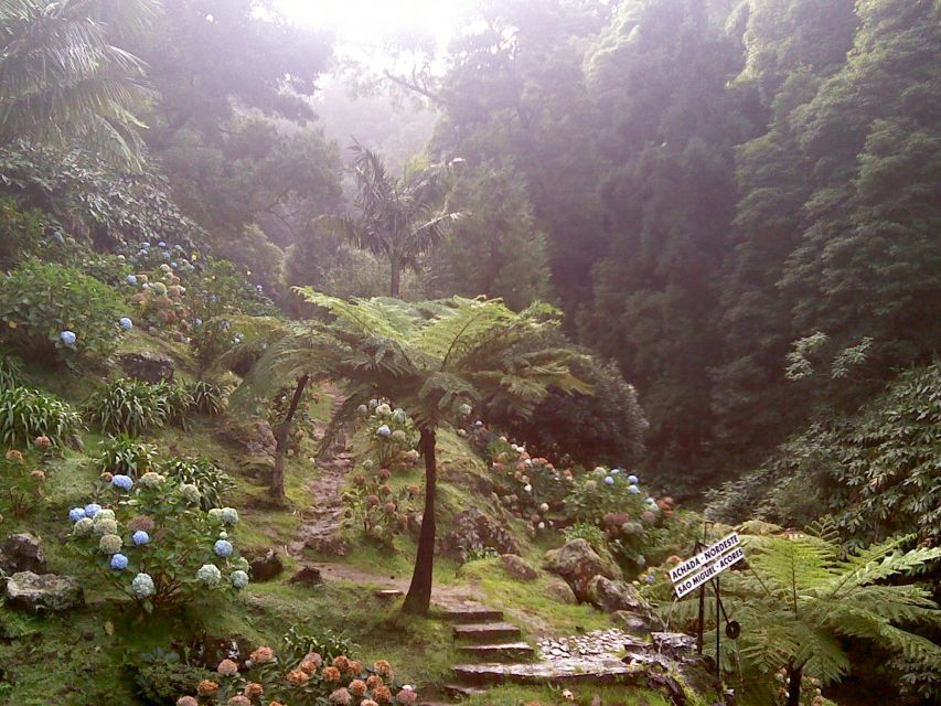 São Miguel: Nordeste, Cliffs & Waterfall Day Trip with Lunch - Key things to know before booking