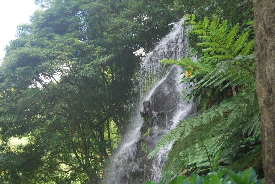 São Miguel: Nordeste, Cliffs & Waterfall Day Trip with Lunch - Waterfalls at Salto da Farinha and Risco