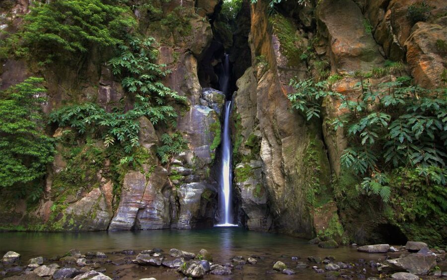 São Miguel West: Full-Day Van Tour with Lunch - A local buffet lunch in the middle of the day