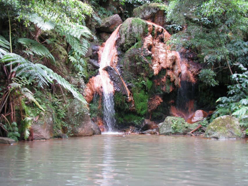 São Miguel: Whales & Volcano Full-Day Tour with Lunch - Price, timing, and what you receive
