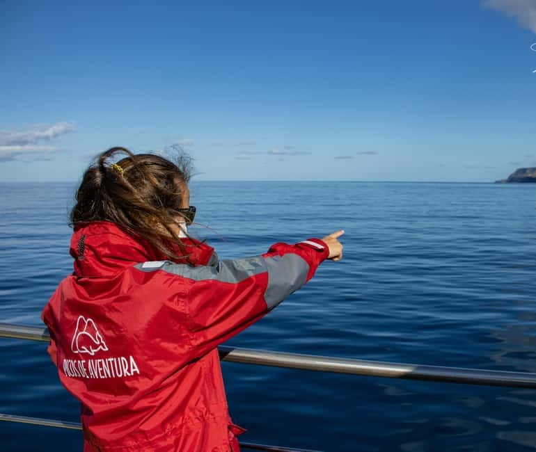 São Miguel: Wild Swimming with Dolphins - Practical preparation for a better swim