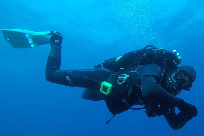 Scuba Diving Albufeira-Double Dive Trip - Starting at Easydivers in Albufeira Marina