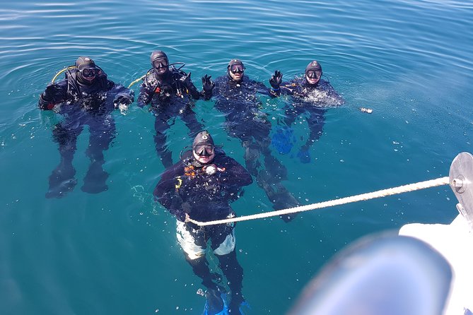 Scuba Diving Albufeira-Double Dive Trip - Guidance for new or infrequent certified participants