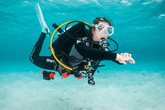 Scuba Diving Experience in Madeira - The sea session near Funchal