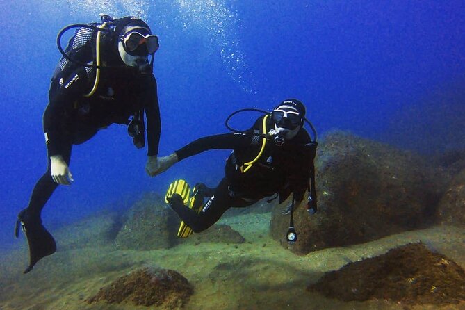 Scuba Diving Experience in Madeira - Who will get the most from this experience