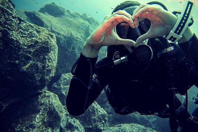 Scuba Diving Experience in Madeira - Should you book this Madeira scuba experience?