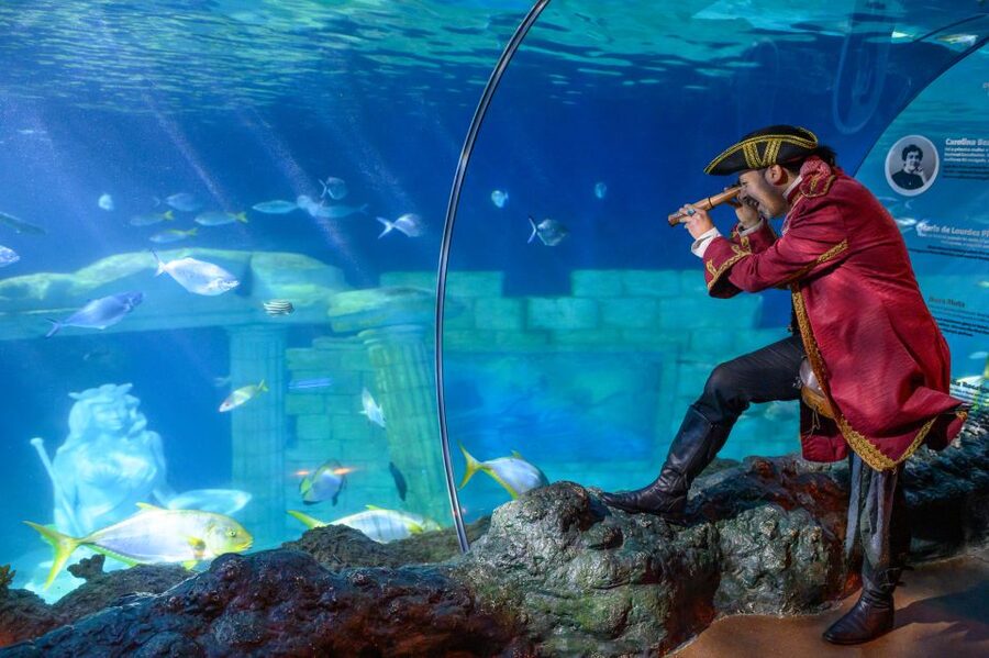 SEA LIFE Porto Full-Day Entrance Ticket - Cow-faced rays and sharks set the tone