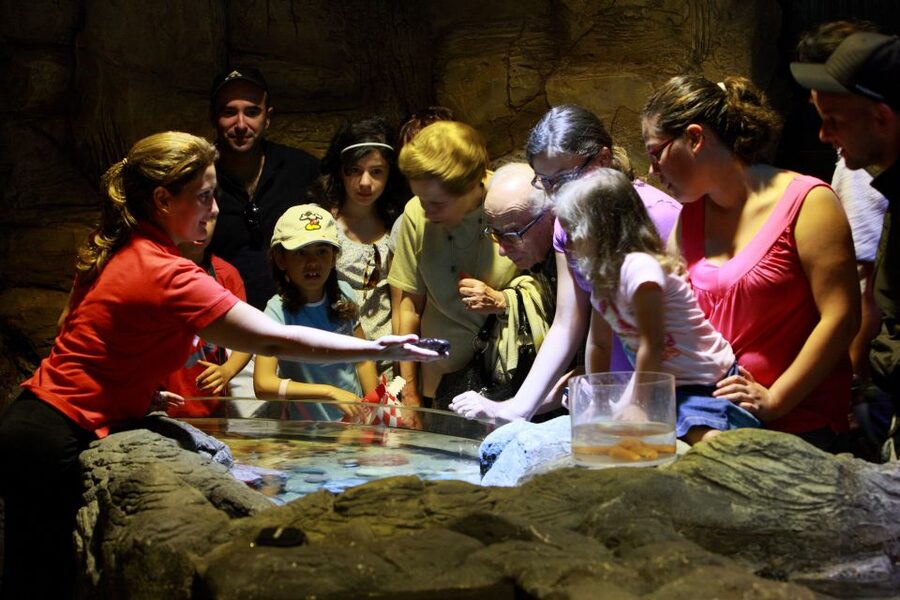 SEA LIFE Porto Full-Day Entrance Ticket - Is $22 a fair price?