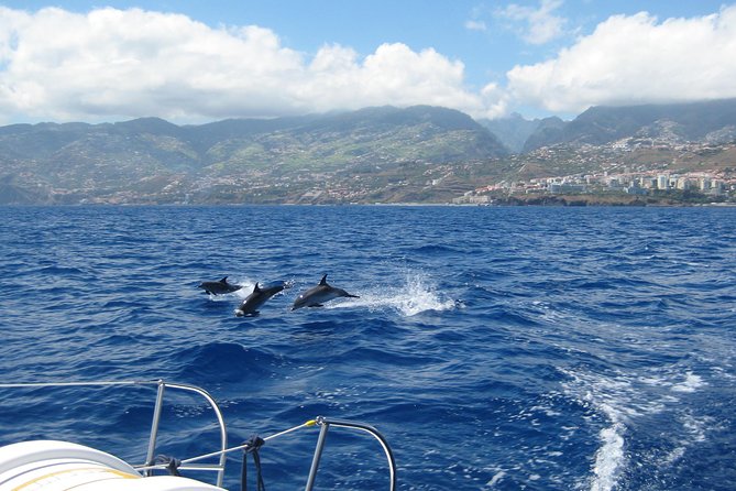 Seaborn Catamaran trips - Cabo Girao from the water