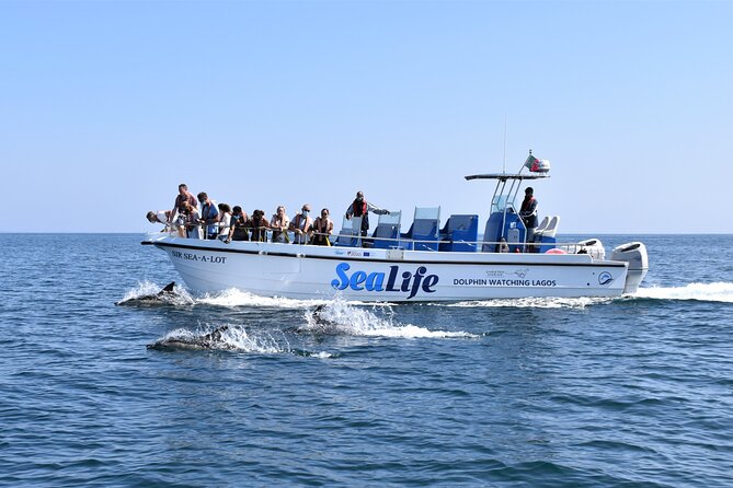 Sealife Sea Safari, Dolphin Watching with Marine Biologist's Lagos - Key points before you book