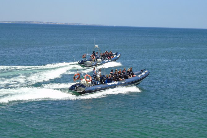 Sealife Sea Safari, Dolphin Watching with Marine Biologist's Lagos - Is $48.39 good value?