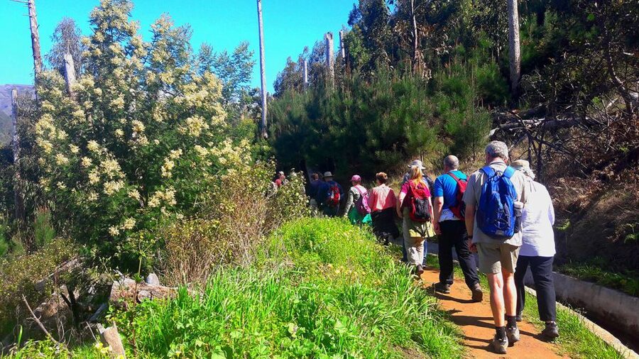 Serra de Água Valley Levada Walk - Why this levada walk works for first-time hikers