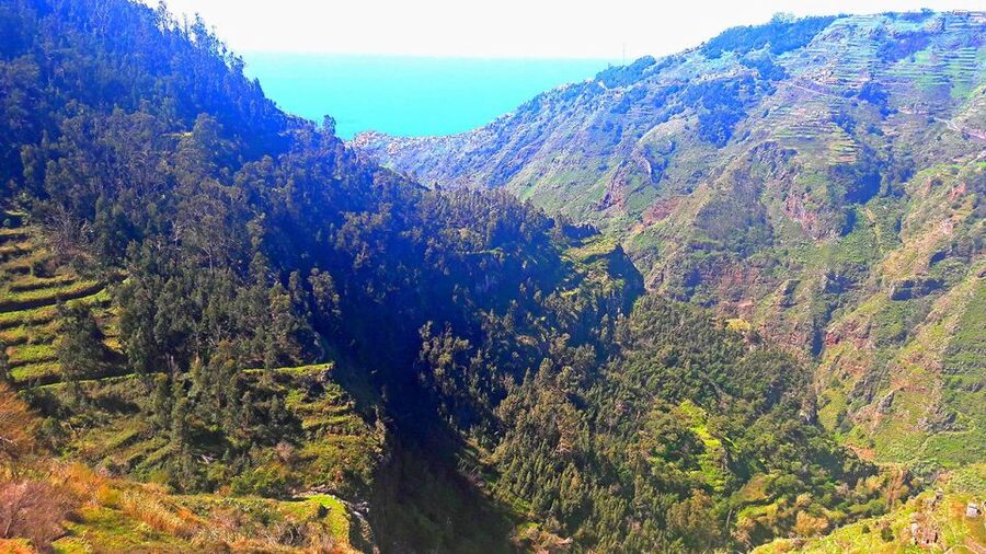 Serra de Água Valley Levada Walk - Plants, farms, and the quieter side of Madeira