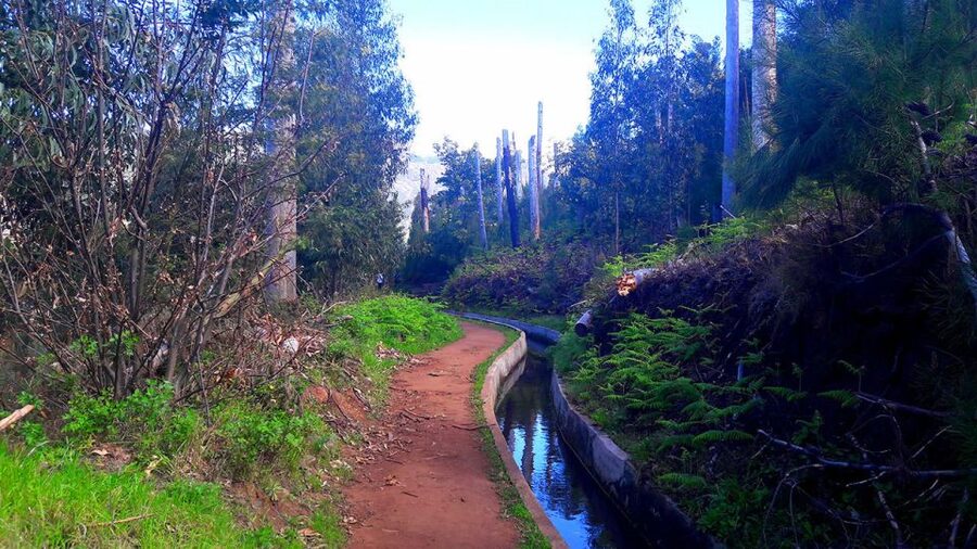 Serra de Água Valley Levada Walk - The views toward Madeira’s central mountains