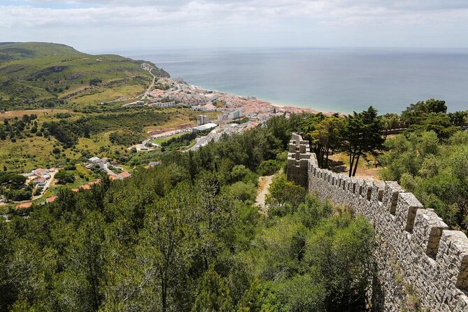 Sesimbra: Arrábida Dolphin and Whale Watching tour with biologist - Key things to know before booking