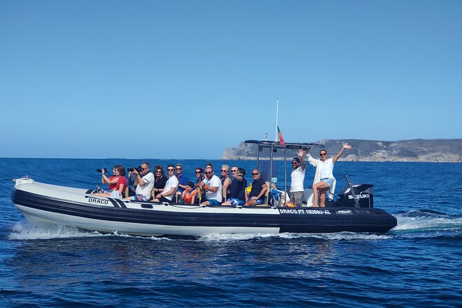 Sesimbra: Arrábida Dolphin and Whale Watching tour with biologist - Searching for dolphins in Arrábida Maritime Park
