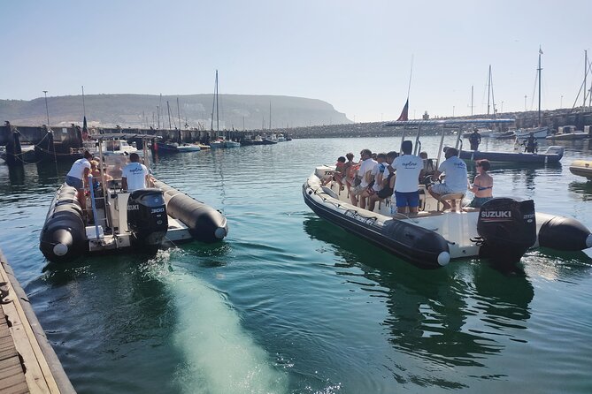 Sesimbra: Arrábida Dolphin and Whale Watching tour with biologist - Is the $66.42 price good value?