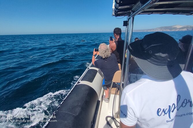 Sesimbra: Arrábida Dolphin and Whale Watching tour with biologist - Who should book this Sesimbra tour?