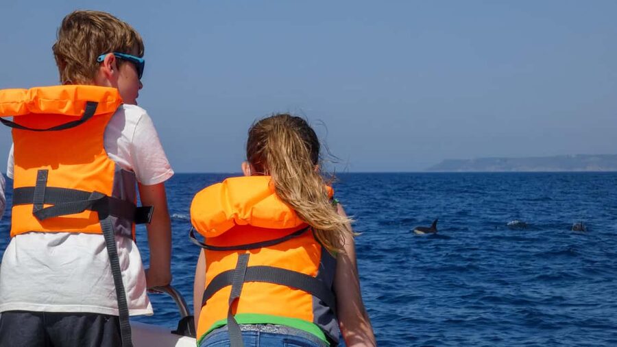 Sesimbra: Arrábida Dolphin Watching Boat Tour with Biologist - Praia da Mijona and the wild coast
