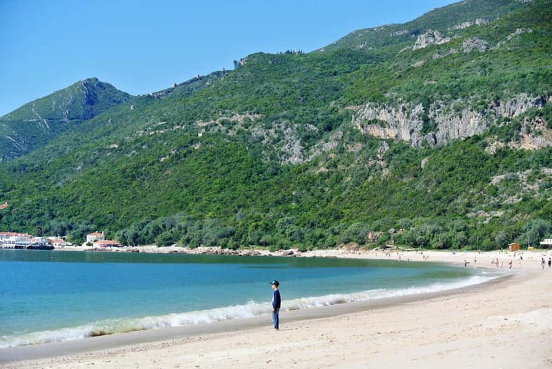 Sesimbra & Arrábida National Park Tour with 5 Wines Tasting - Why this southbound trip works