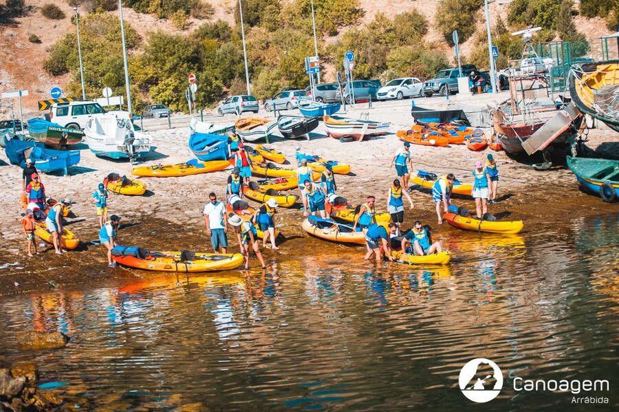 Sesimbra: Arrábida Natural Park Guided Kayaking Tour - Caves, coves, and marine life along the route