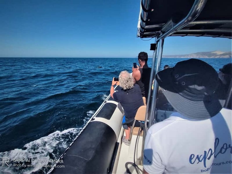 Sesimbra: Dolphin Watching Boat Tour with Biologist Guide - Searching for Dolphins Along the Arrábida Coast