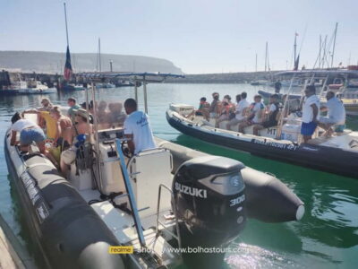 Dolphin Watching Boat Tour with Biologist Guide